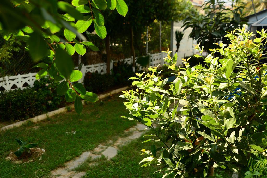 Pinar Hotel Alanya Ngoại thất bức ảnh